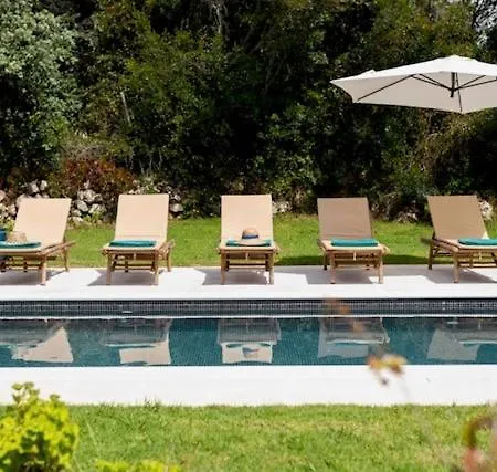 Casa De Palmeiros Wellness & Pool Tatil Evi