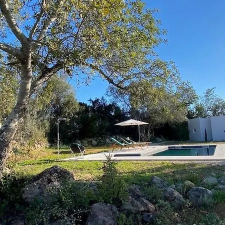 Casa De Palmeiros Wellness & Pool Loulé